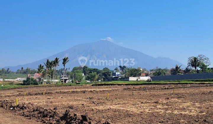 Tanah siap bangun Klampok 3 Singosari lokasi area KEK