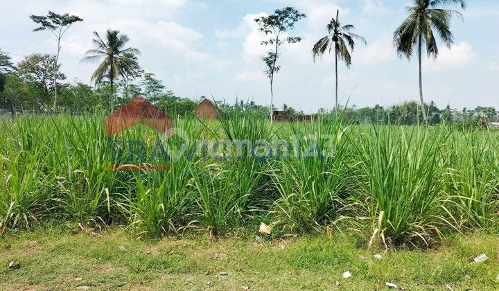 Large Land in Pakisaji, Suitable for Housing Near Perum Pondok Rindang Malang