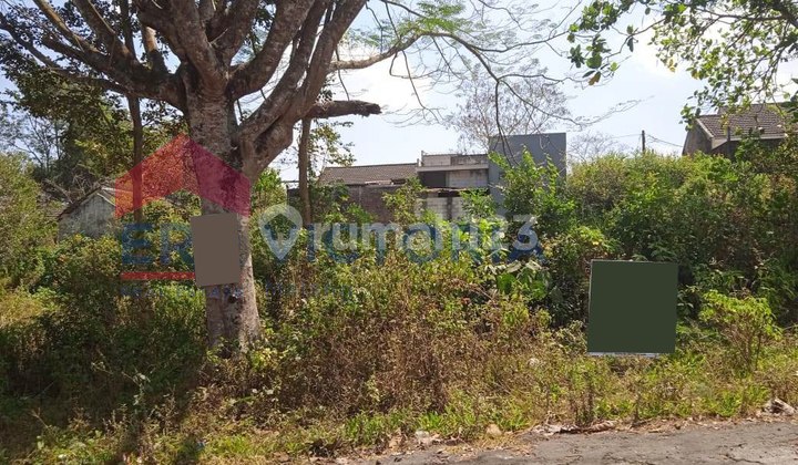 Kedungkandang Land Plot Area, Quiet and Comfortable Zone, Cool Mountain Breeze, Near Malang City Toll Exit, Easy Access Kedungkandang Land Plot Area, Quiet and Comfortable Zone, Cool Mountain Breeze, Near Malang City Toll Exit, Easy Access