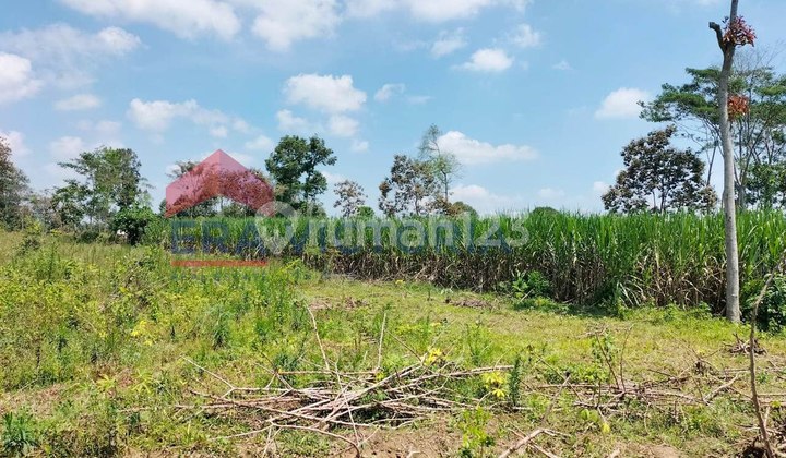 Spacious Land Suitable for Livestock / Plantation Near Gubukklakah