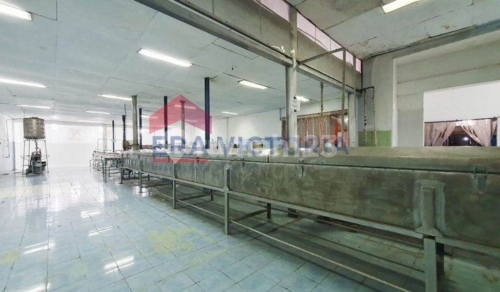 Wide Factory Equipped with Ice Making Machines, Cold Storage, Fish Meal, Sardines in the Muncar Banyuwangi Industrial Area