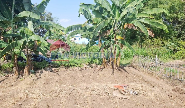 Land Near UIN Maulana Malik Ibrahim Campus 2, Dau Stadium, Batu City