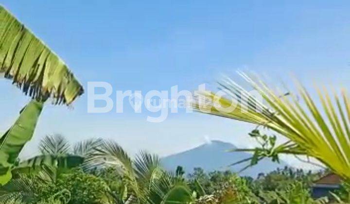 CHEAP LAND WITH RICE FIELD AND MOUNTAIN VIEW 2