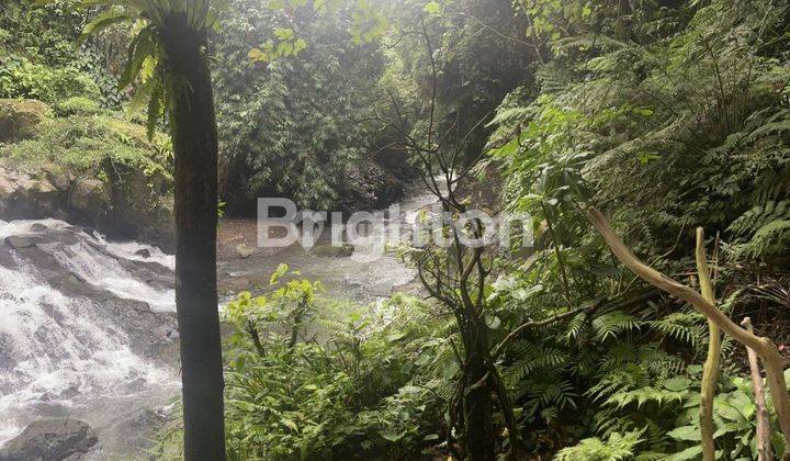 TANAH VIEW SUNGAI di GIANYAR 2