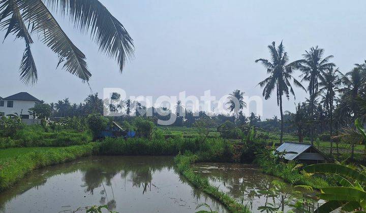 Small land in a villa complex in SABA, GIANYAR 1