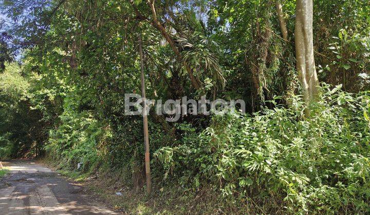 TURUN HARGA.!!!TANAH MURAH DI KERAMAS BLAHBATU GIANYAR 2