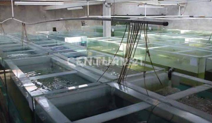 Tanah Dan Fasilitas Berupa Fish Farm Di  Jalan Cibangbara 2