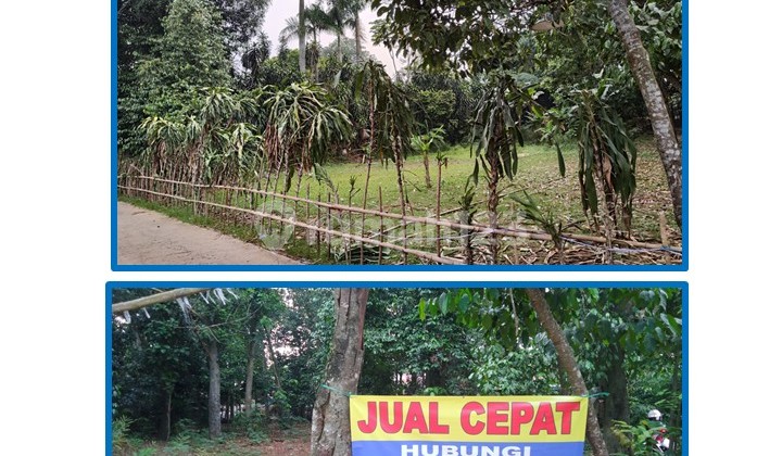 Jual Cepat Tanah Datar Harga Spesial Luas 932 M2 di Gang Lumong, Curug, Gunung Sindur, Bogor.