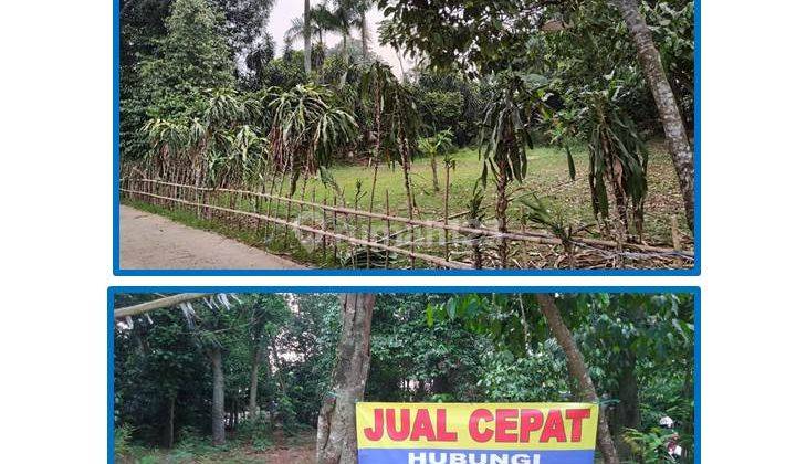 Jual Bu Cepat Tanah Datar Siap Bangun di Gg Lumong, Curug, Bogor.. 1