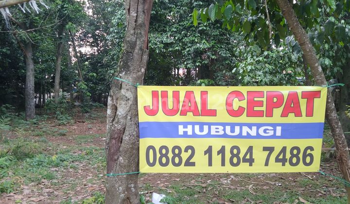 Gunung Sindur, Bogor, Curug, Lumong Alley, Flat Land Certificate 932 M2