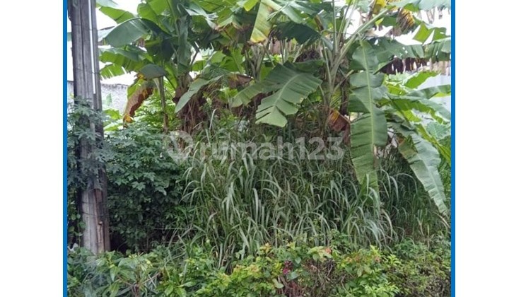 Jual Cepat Harga Spesial Sesuai NJOP Luas 179 M2 di Jl. Sejahtera, Rangkapan Jaya Baru, Pancoran Mas, Depok.