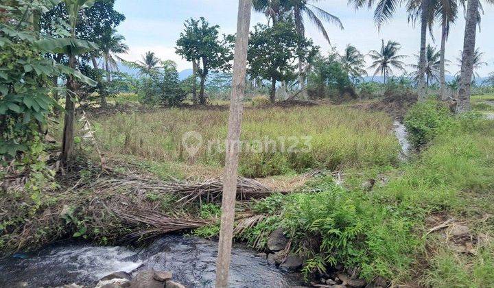 Tanah dan Sawah Serta Kolam Ikan Dekat Pemandian Cirahab Serang

 2