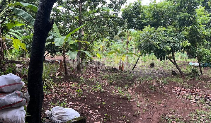 Tanah Di Jual Di Cirendeu Tanah