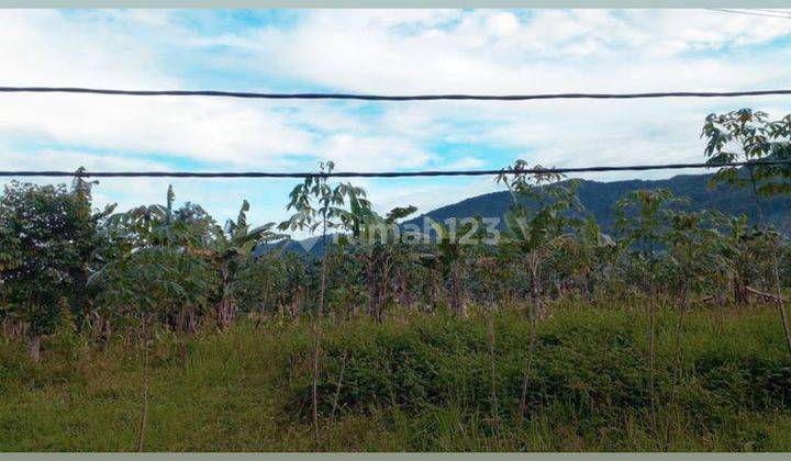 Kavling Cisarua Sayap Jalan Raya Puncak Dekat Taman Safari 2