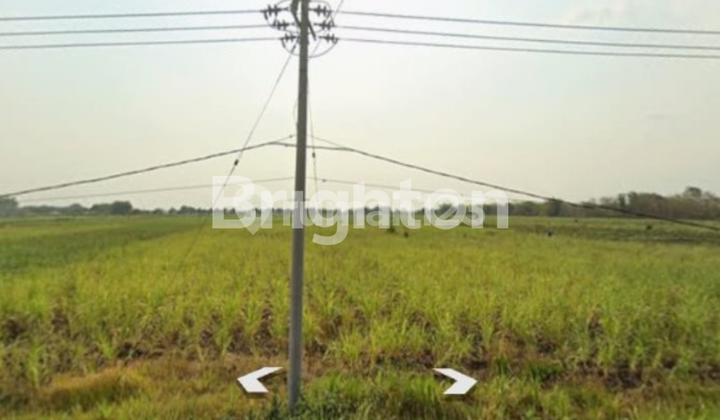TANAH DI JAPANAN JALAN MOJOKERTO  1