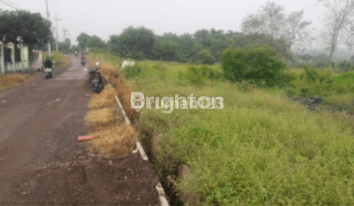 TANAH NOL JALAN KAMPUNG DI KECAMATAN KEDAMEAN GRESIK 1