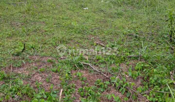 (Tn038) Dijual Murah Tanah Cocok untuk Usaha di Karawang