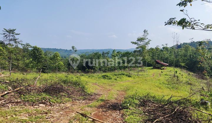 Tn049 Dijual Tanah 2 Hektar di Sajira Cocok untuk Ternak & Kebun