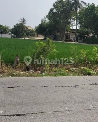 (JKTC1036) Land for Sale near Ciujung Toll Road, Carenang - Serang