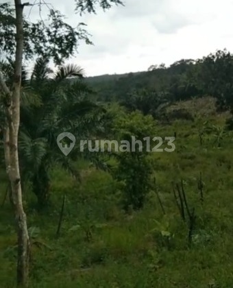 (JKTC1035) Dijual Cepat! Tanah 167 Ha Cikiruh dekat Tol Panimbang (JKTC1035) Dijual Cepat! Tanah 167 Ha Cikiruh dekat Tol Panimbang