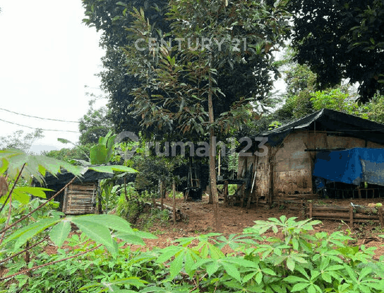 Agricultural Land Strategic Location National Highway S9035