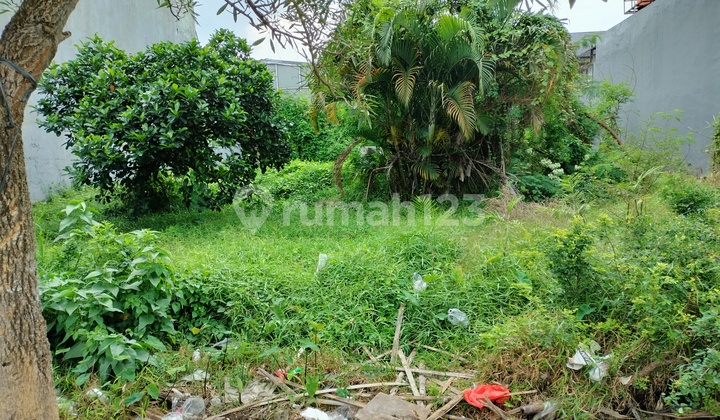Dijual Tanah di Kavling DKI Meruya Utara Jln. Cempaka Lokasi Strategis Dijual Tanah di Kavling DKI Meruya Utara Jln. Cempaka Lokasi Strategis