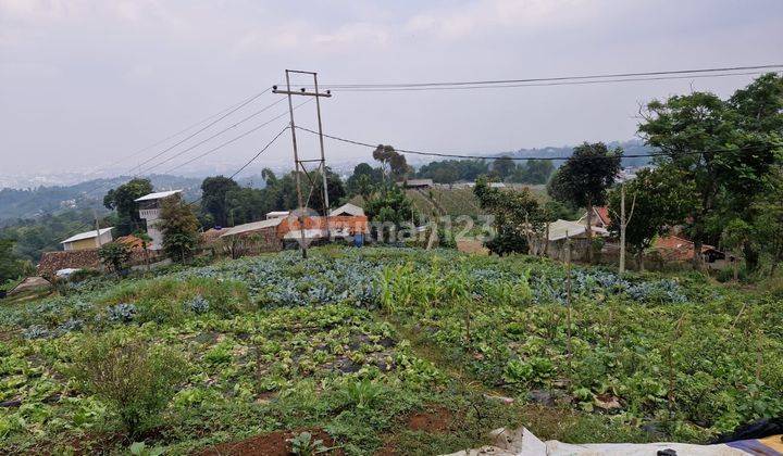 Tanah kebun di dago pager wangi SHM 1