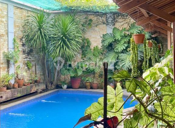 Dijual Rumah Asri Dengan Kolam Renang di Cinere 1