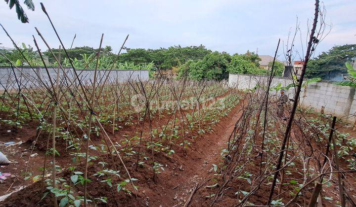 foto lainnya tanah kavling ngantong view taman