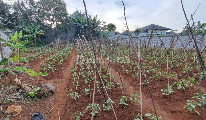 foto lainnya tanah kavling ngantong dalam cluster