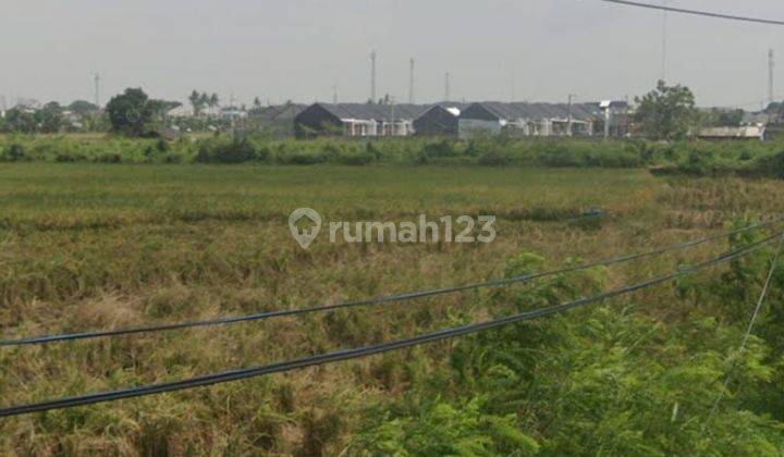 Tanah Termurah Pinggir Jalan Dekat Harapan Indah, di Babelan Raya, Bekasi 1