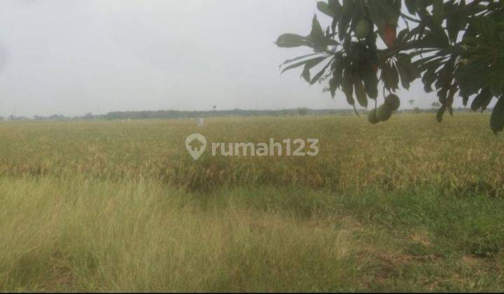 Tanah Siap Bangun di Samudra Jaya, Tarumajaya Bekasi  1