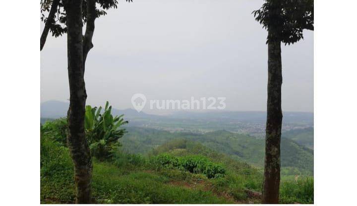 Tanah di Jalan Utama Transyogi Jonggol - Cianjur Jawa Barat
 1