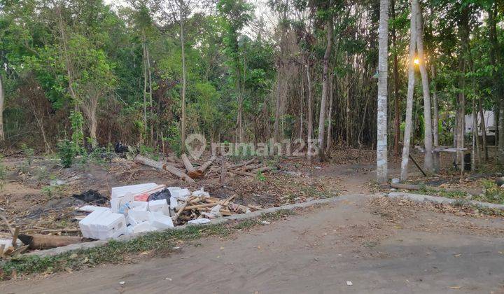 Murah Ring 1 Uii, Investasi Kost Untung  2