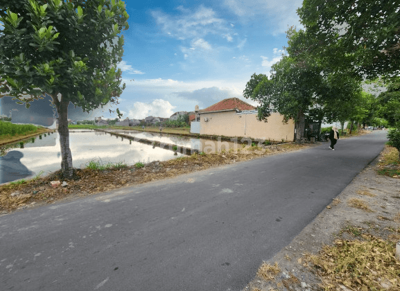 Dalam Ring Road, 100m Dari Global Islamic School 1