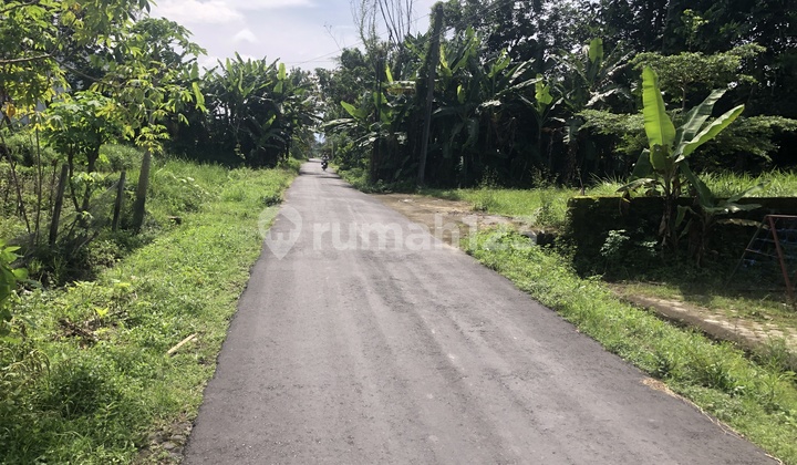 500 Meters from Jl Kaliurang km 10, Paved Roadside and Scenic Ambience 500 Meters from Jl Kaliurang km 10, Paved Roadside and Scenic Ambience