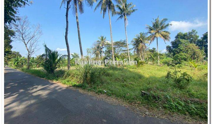 Dekat Jogja Eco Park, View Merapi Sawah, 5 Menit Uii Pusat 1