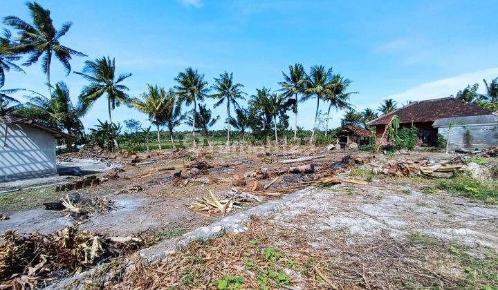 Dekat Uad 6 Wates, Tanah Ciamik Kulon Progo 2