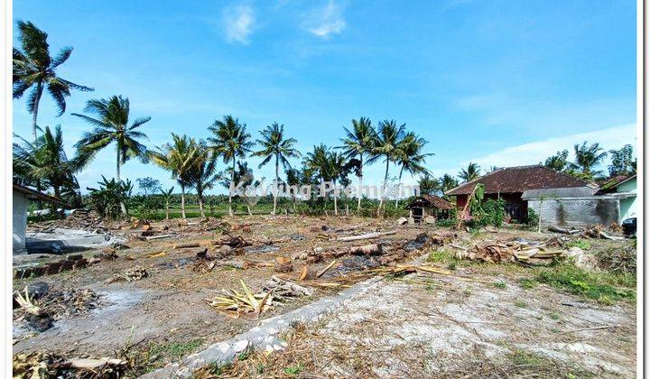 Dekat Bandara Yia, Cocok Bangun Guest House 2