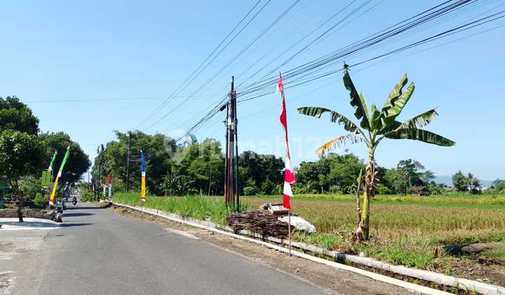 Near Sd Budi Mulia 2, On the Edge of Jl. Raya Sambiroto, Designated for Business & Residential Use Near Sd Budi Mulia 2, On the Edge of Jl. Raya Sambiroto, Designated for Business & Residential Use