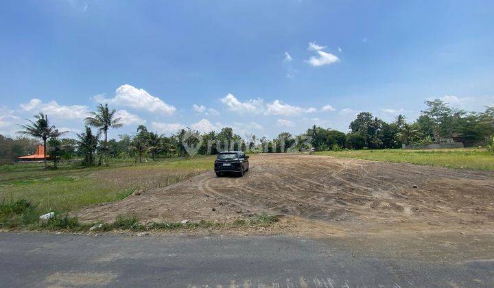 Dekat Uii, View Sawah Peruntukan Villa, 100 Meter Ke Jl Raya 2