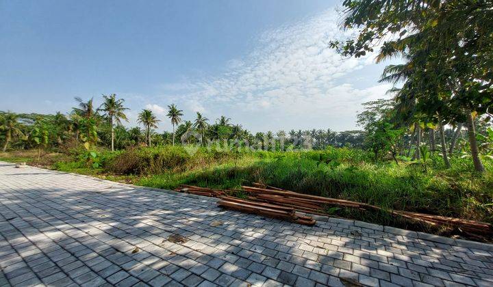 Dekat Bandara Yia, Cocok Bangun Rumah Premium, View Sawah 2