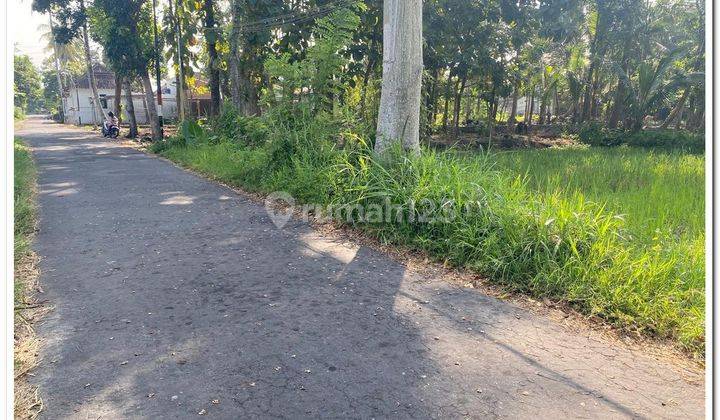 Dekat Uii, Peruntukan Rumah, 100 Meter Ke Jl Raya 1