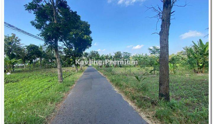 Dekat Jogja Eco Park, View Merapi Sawah, 5 Menit Uii Pusat 2