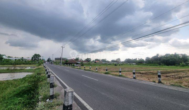 Tepi Jalan Sidokarto Godean, Tanah SHM Cocok Huni 2