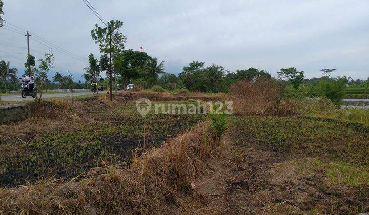 Dijual Tanah Magelang Tepi Jl Raya, Cocok Hunian 1