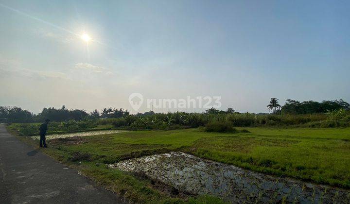 Tanah Jogja Area Godean Dekat Universitas Mercu Buana 2