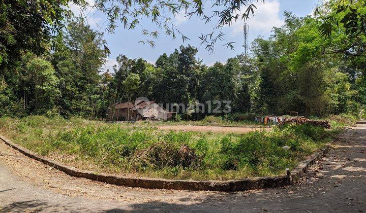 Dijual Tanah Klaten Lokasi Dekat Candi Prambanan, Candi Plaosan 1