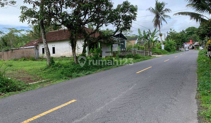 Tanah Murah Tempel Jogja 500 M Jl Magelang, Row Jalan 5 M 2