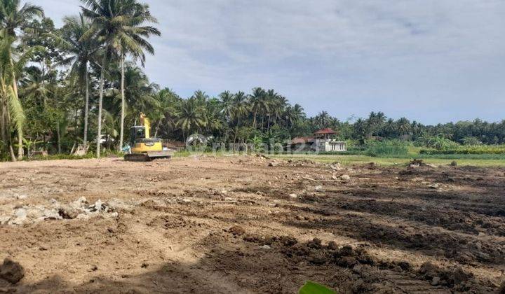 Spot Investasi Jogja Barat, SHM Siap Balik Nama, View Sawah